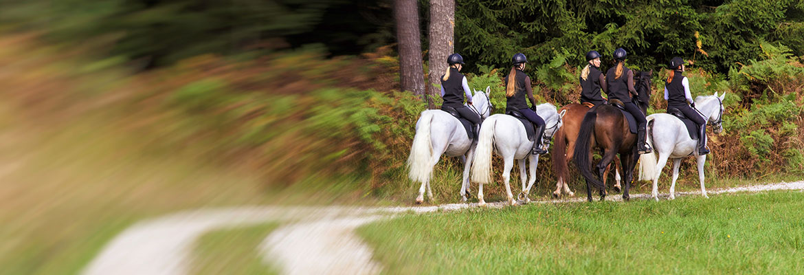 umwelt reiten recht okv