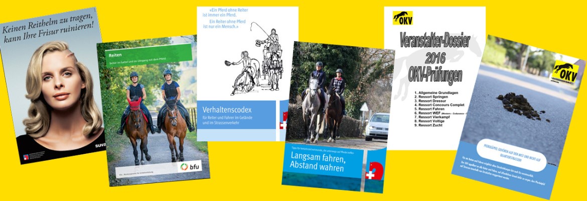 okv downloads - reiten - ausbildung- reglemente